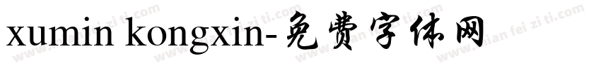 xumin kongxin字体转换